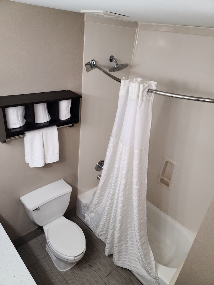 Comfort Suites Plano East Richardson - photo 20