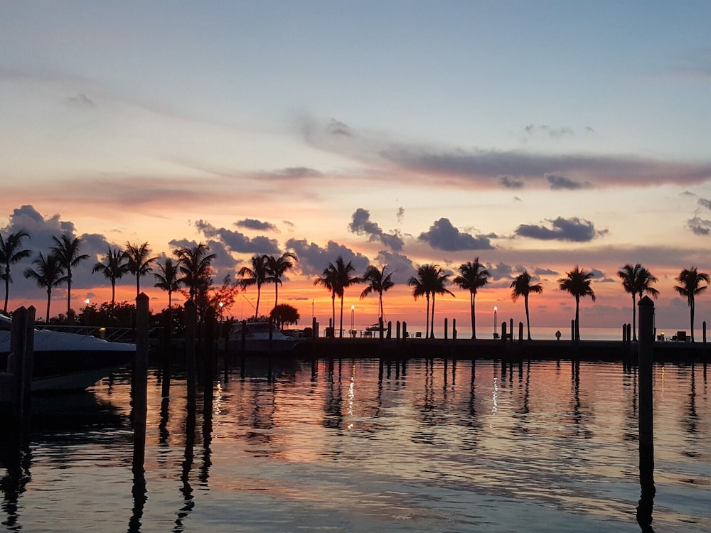 Marlin Bay Resort & Marina Managed by Elite Alliance Hospitality - photo 411