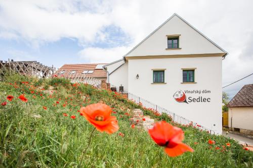 Vinařský dům Sedlec in Sedlec, Czech Republic