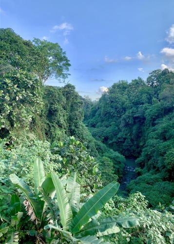 Ubud Jungle River - last minute hotel in Ubud