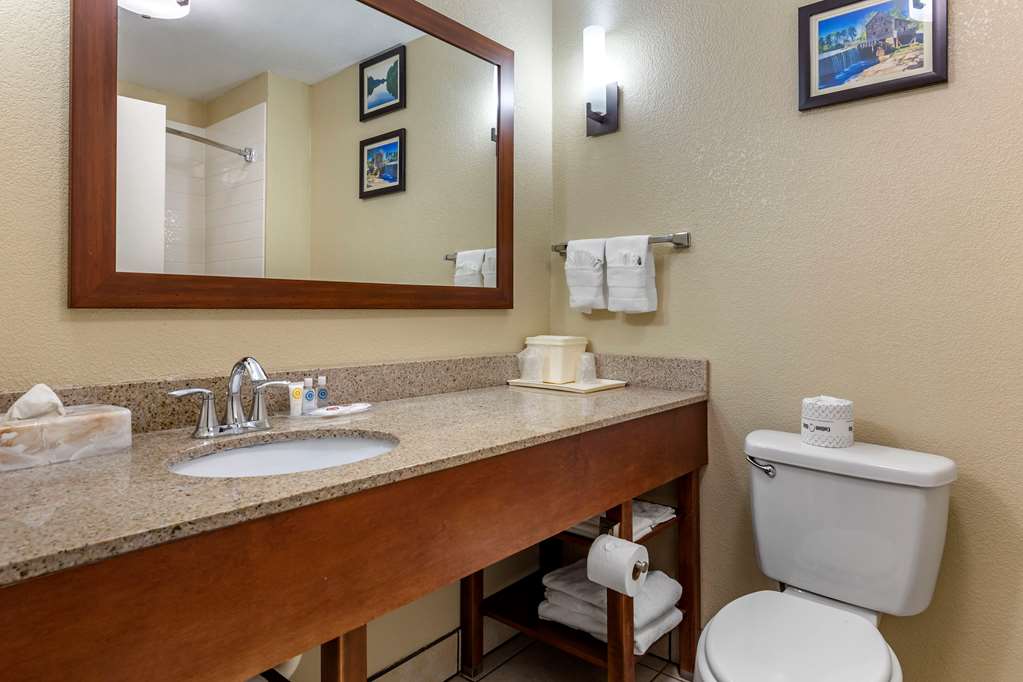 Comfort Suites Clayton Garner - photo 5
