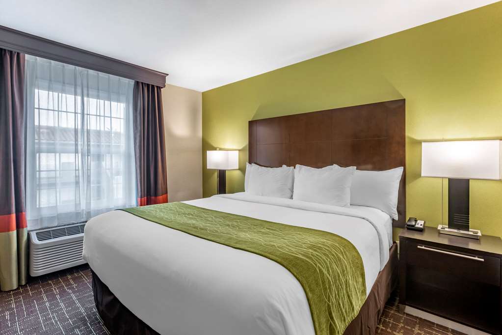 Comfort Inn San Diego Old Town - photo 23