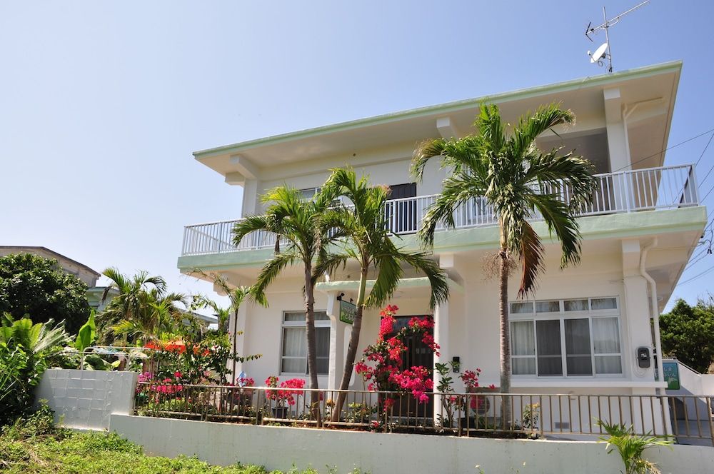 Irabu Dolphin in Miyakojima, Japan