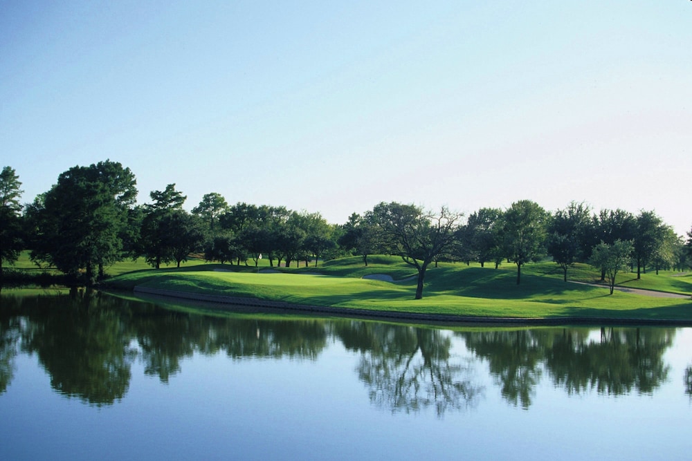 The Ritz Carlton Dallas Las Colinas - photo 123