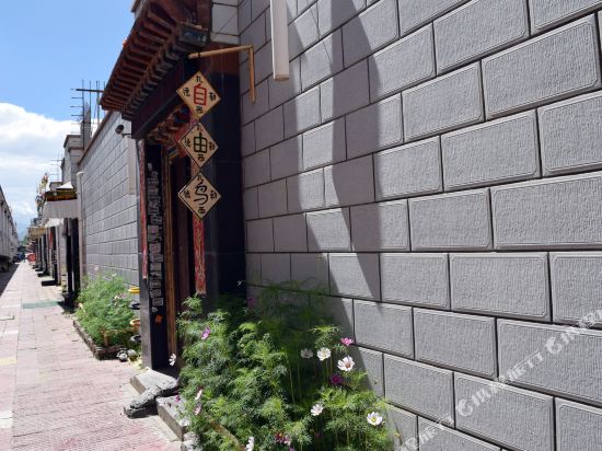 Free Bird - carbon neutral hotel in Lhasa