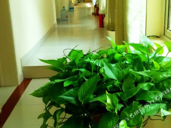 Warm hotel - last minute hotel in Dezhou