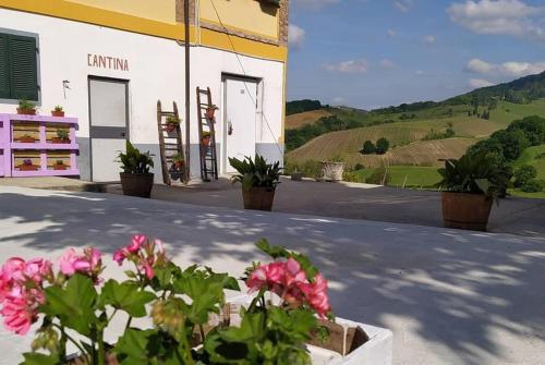 Cascina Angelina — hotel in Casteggio