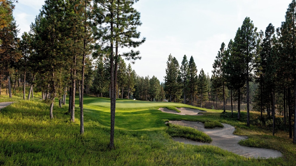 Wilderness Club - photo 146