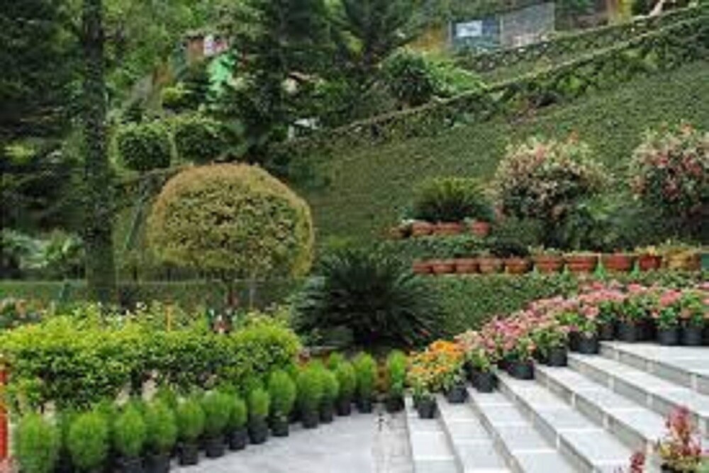 Sahasradhara Ropeway - last minute hotel in Dehra Dun