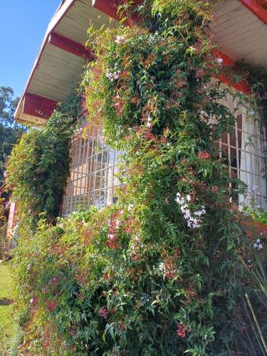Sítio Paradiso in Campos Do Jordao, Brasil