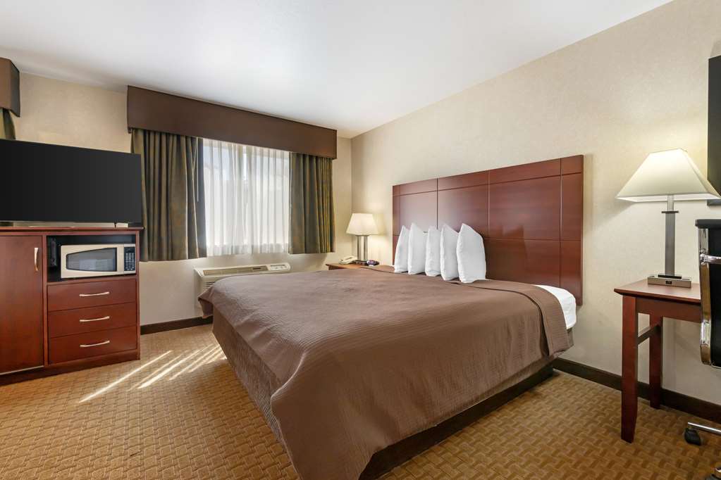 Best Western Wittenberg Inn - photo 21