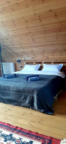 Kazbegi Cottage Memo