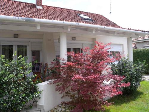 Apartments in Balatonfenyves Balaton 18466 — 4-Star Luxury Hotel in Balatonfenyves, Hungary