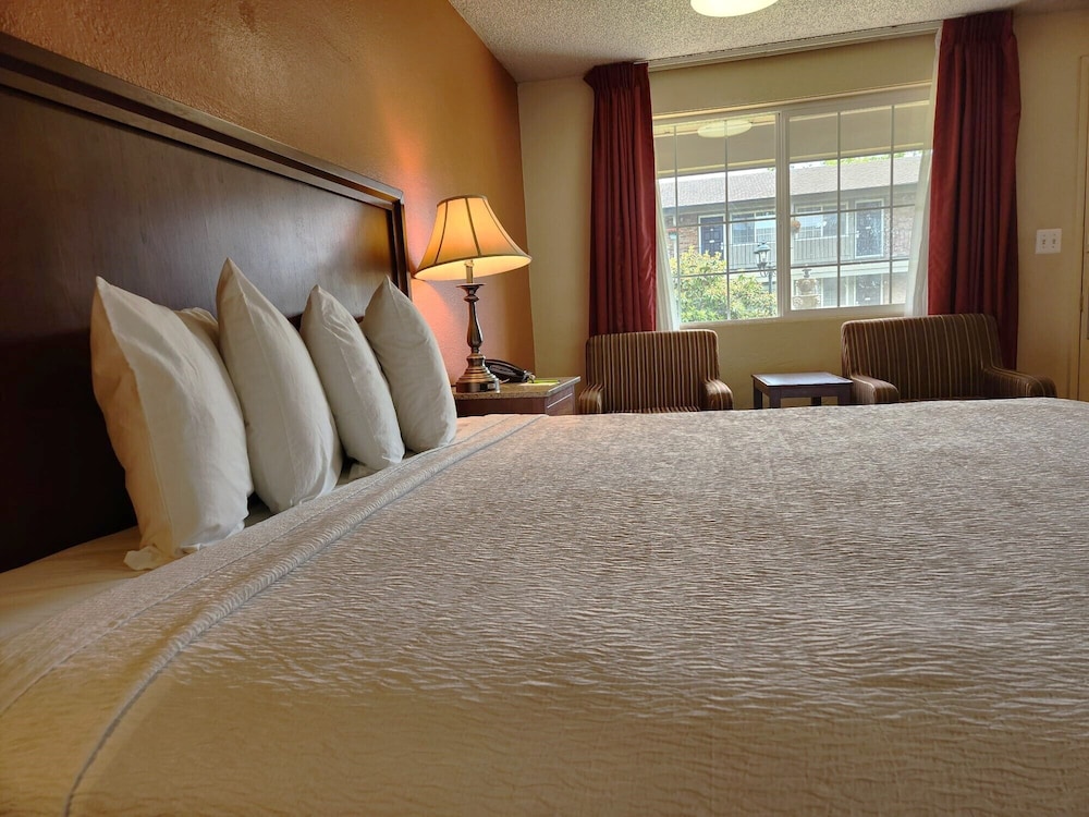 Village Inn Springfield - photo 24