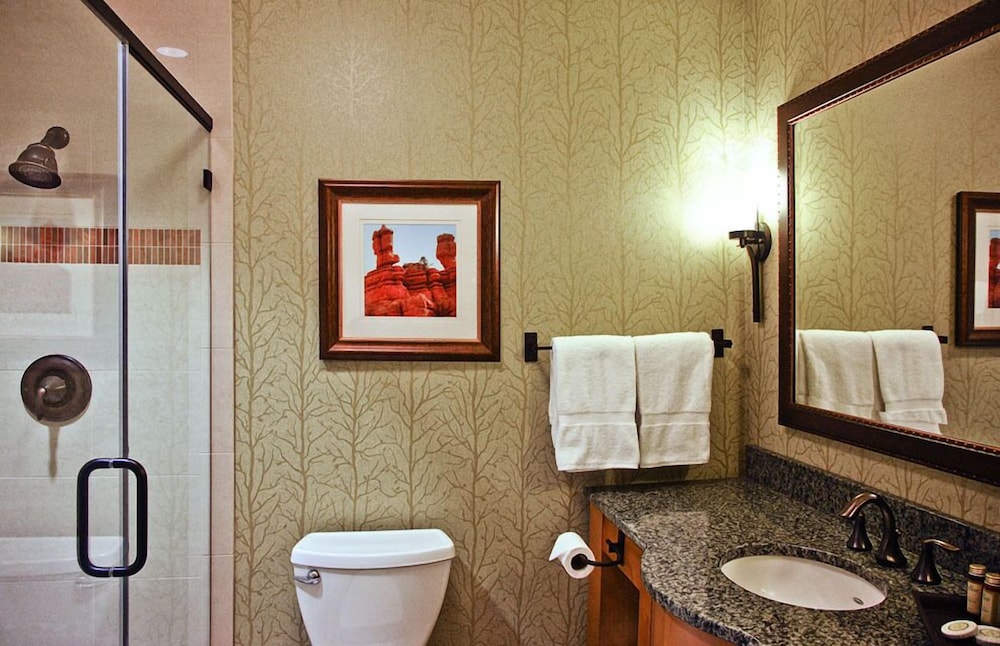 Best Western Premier Brian Head Hotel & Spa - photo 15