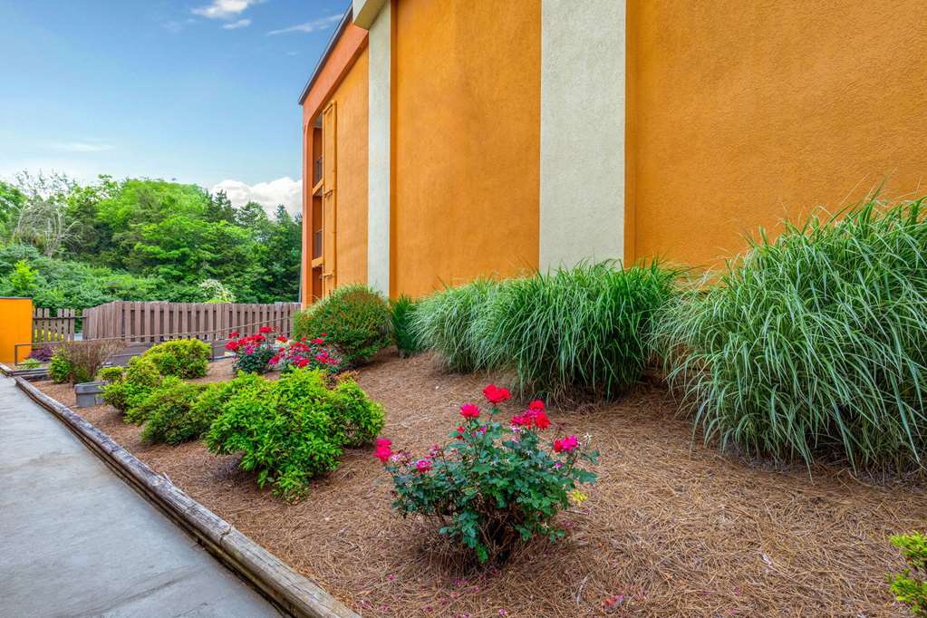Days Inn by Wyndham Knoxville East - photo 8