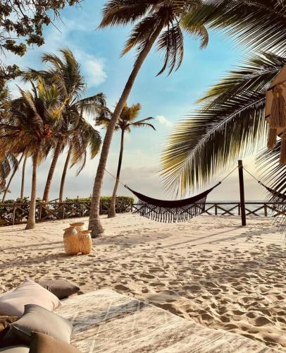 Beautiful Luxury Beachfront Hosue pet-friendly hotel Lorica
