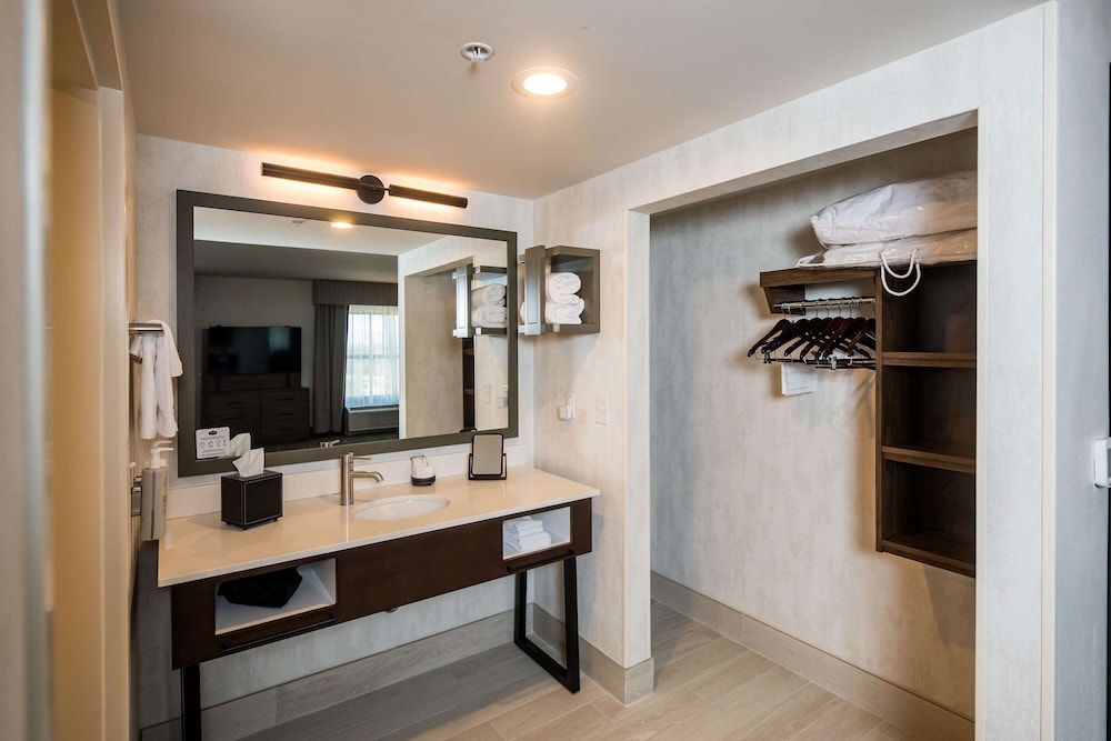Hampton Inn and Suites Dobson - photo 22