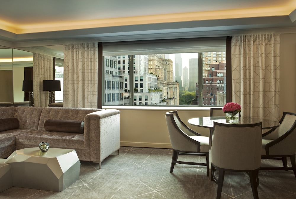 Loews Regency New York Hotel - photo 99