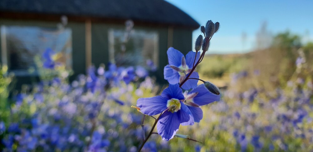 de Pakhuys - carbon neutral hotel in Clanwilliam
