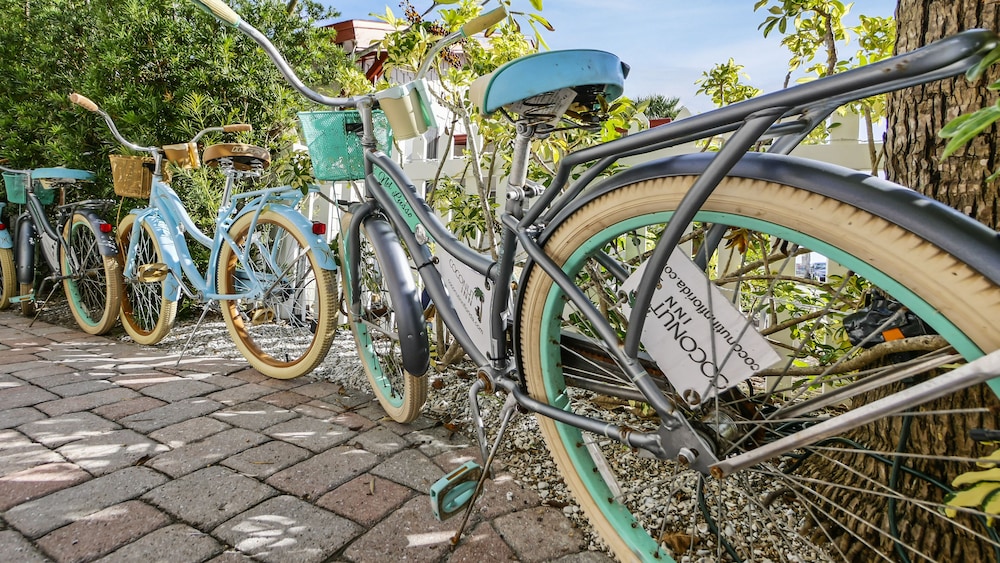 Coconut Inn - photo 155