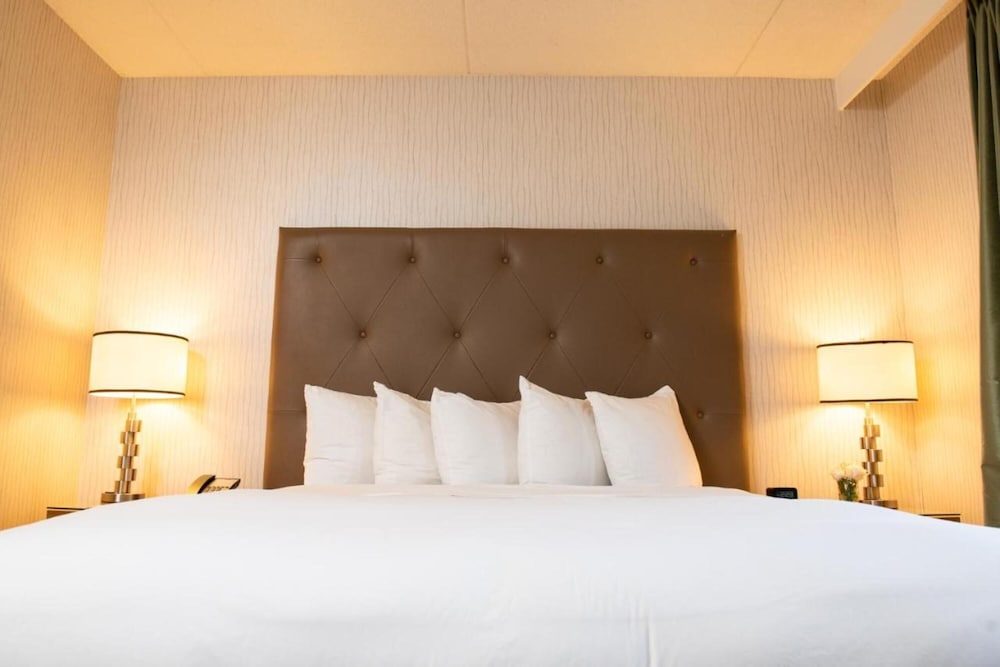 Hotel Auburn Hills - photo 8