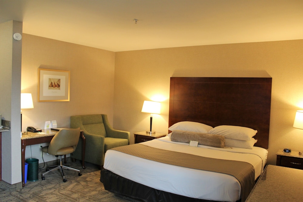 Medallion Inn & Suites - photo 7