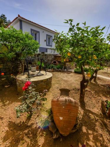 The Kalivi — Samos — photo 2