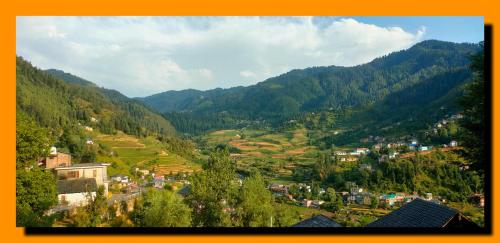 Hotel Cozy Haven — Mandi — photo 4