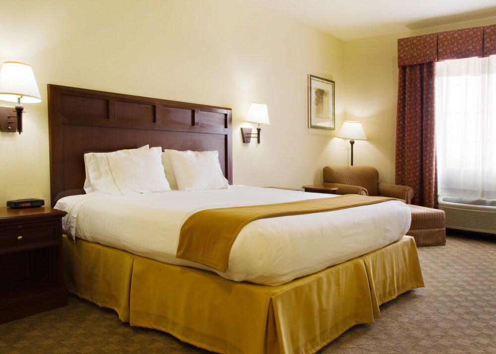 Holiday Inn Express & Suites Levelland by IHG - photo 12