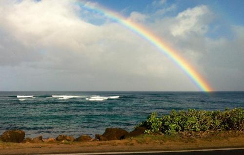 Kalani Hawaii Private Lodging - photo 65