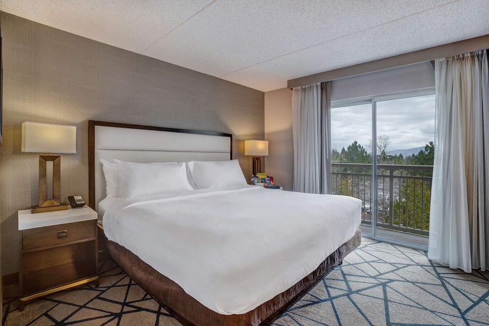 Embassy Suites by Hilton Seattle Bellevue - photo 14
