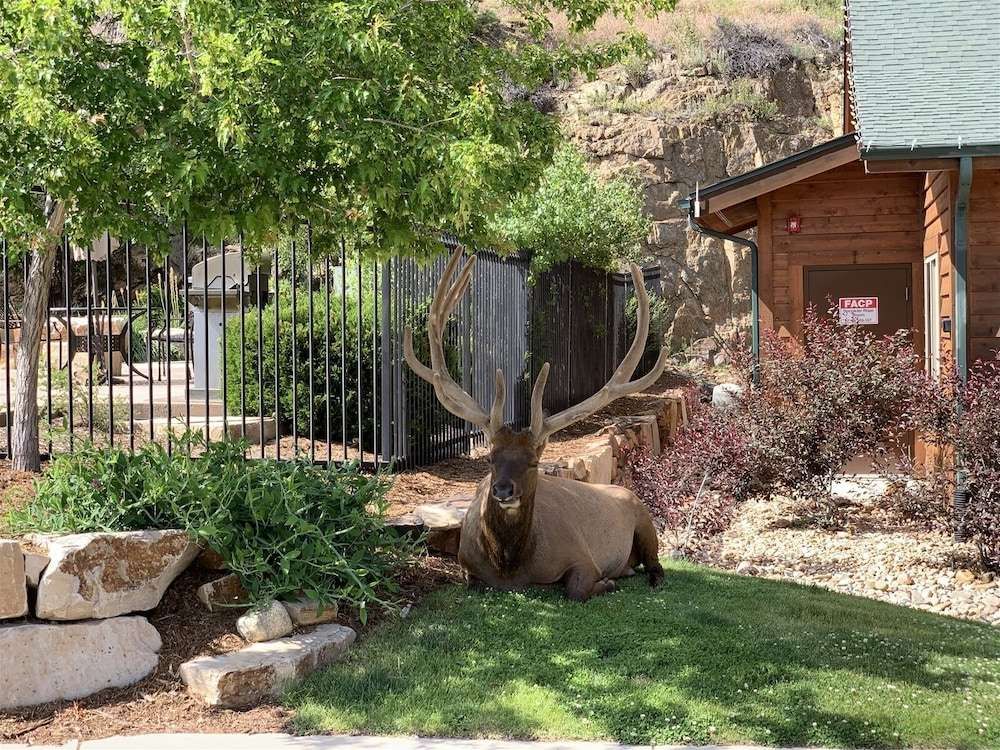 Fall River Village A Resort Community — hotel in Estes Park