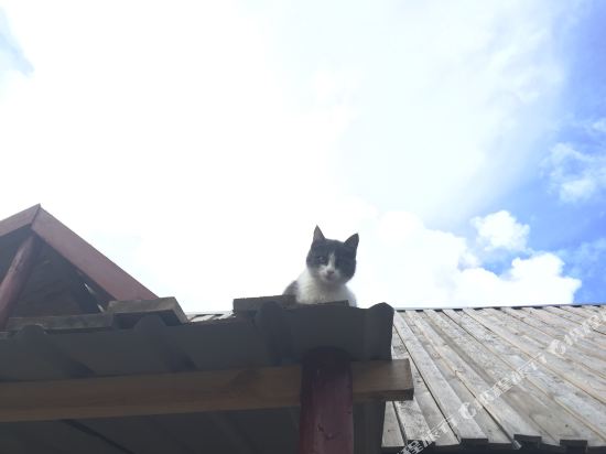 Hupan Inn in Burqin, People's Republic of China