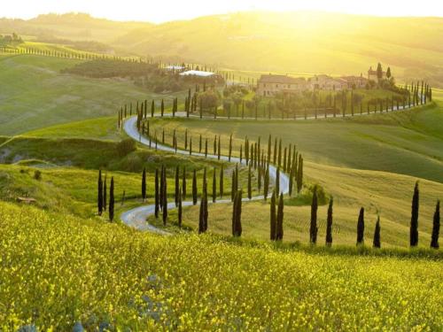 Rustic Elegance Near Florence - carbon neutral hotel in Unknown City