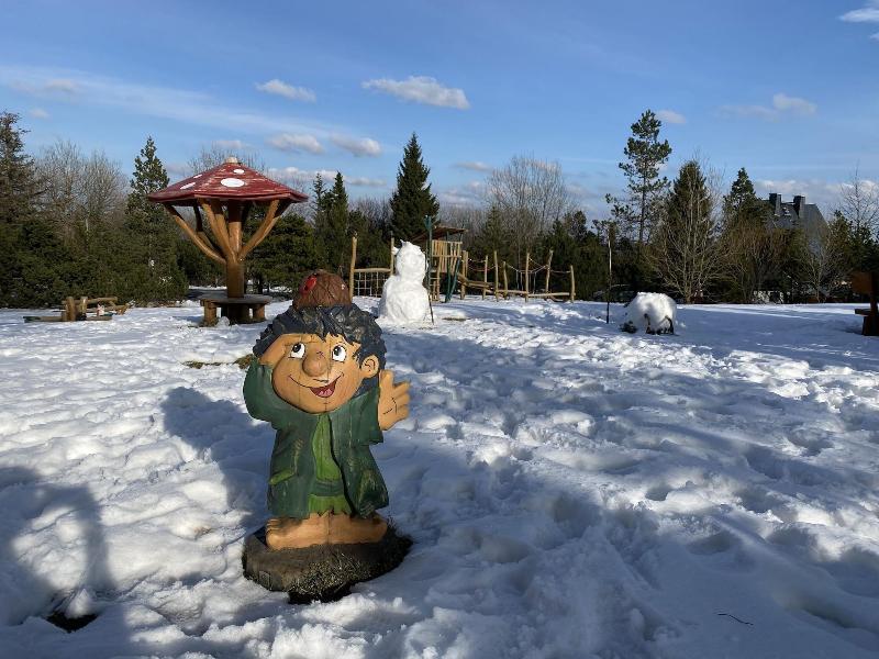 Hotel Lugsteinhof — Altenberg — photo 4