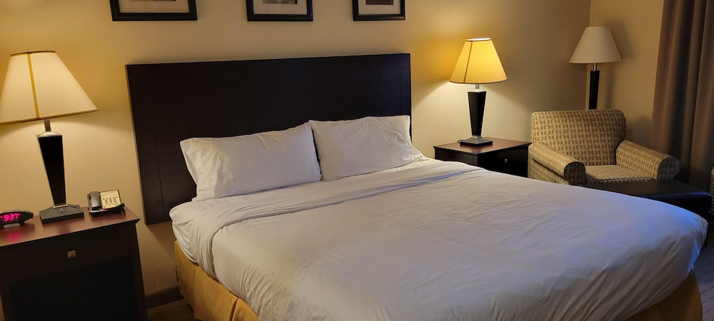 The Arc Hotel - photo 5