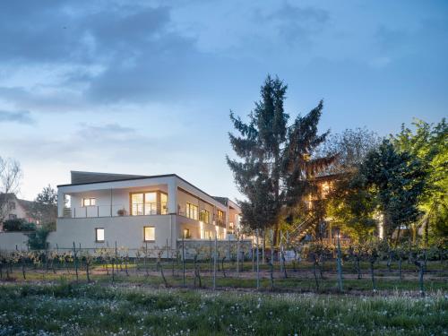 Ferienwohnungen im Vogelgesang W1 — 4-Star Luxury Hotel in Landau In Der Pfalz, Germany
