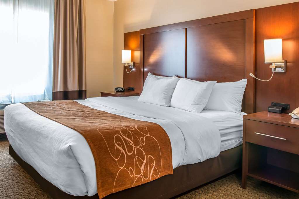 Comfort Suites Wixom Novi - photo 8