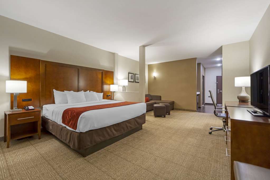 Comfort Suites La Vista Omaha - photo 41