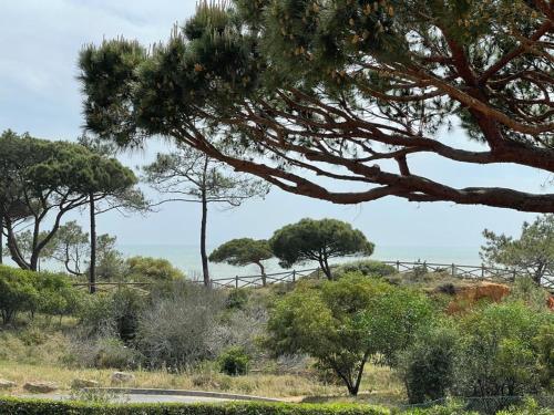 Praia da Falésia Alfa Mar Albufeira — hotel in Olhos De Agua