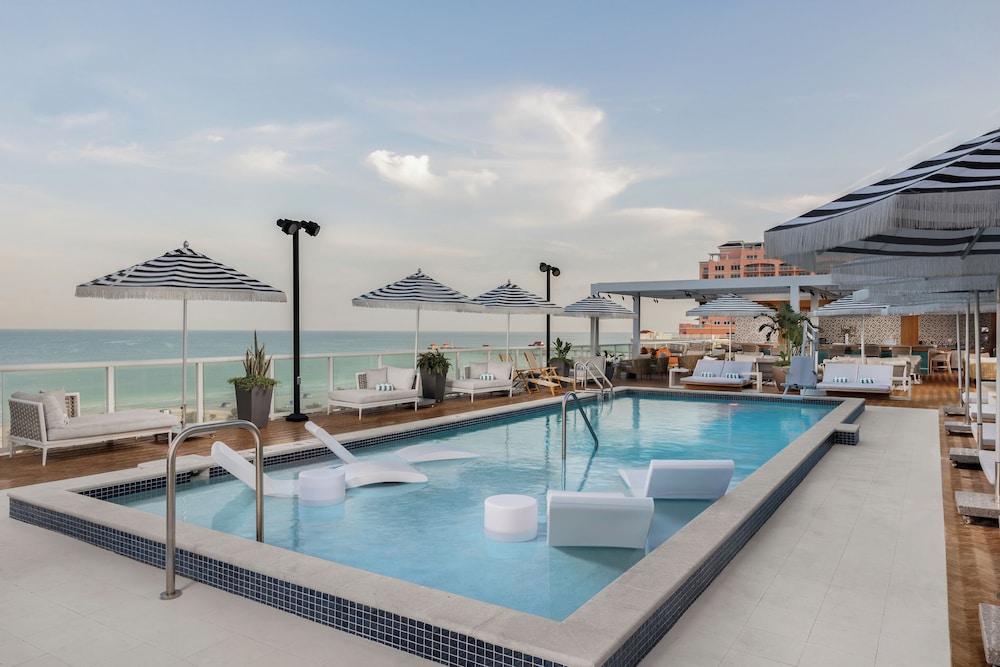 The Hiatus Clearwater Beach Curio Collection By Hilton - photo 63