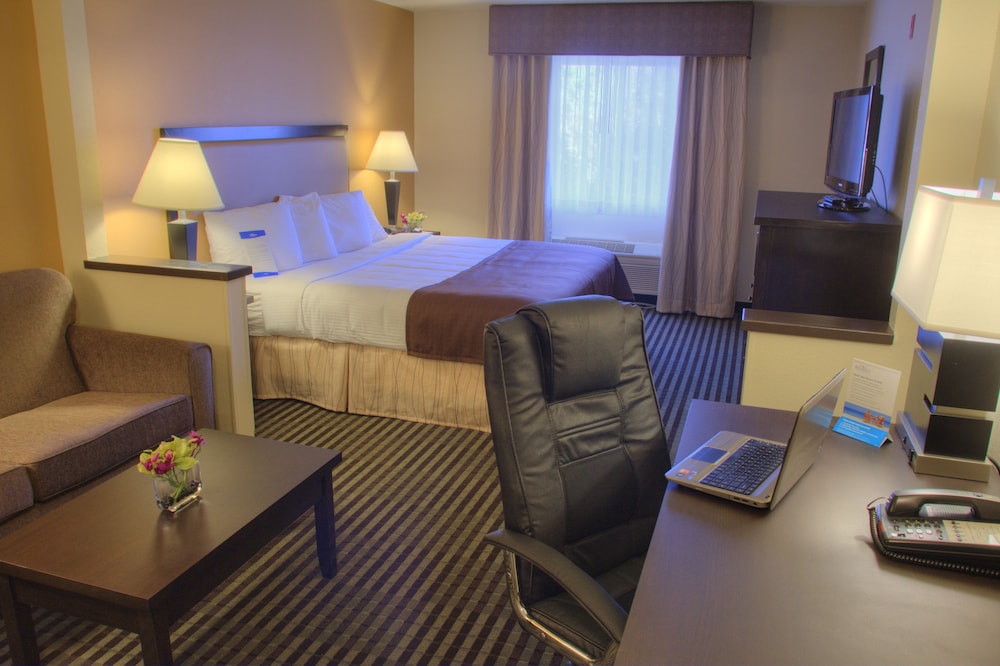 Baymont by Wyndham Dallas Love Field - photo 5