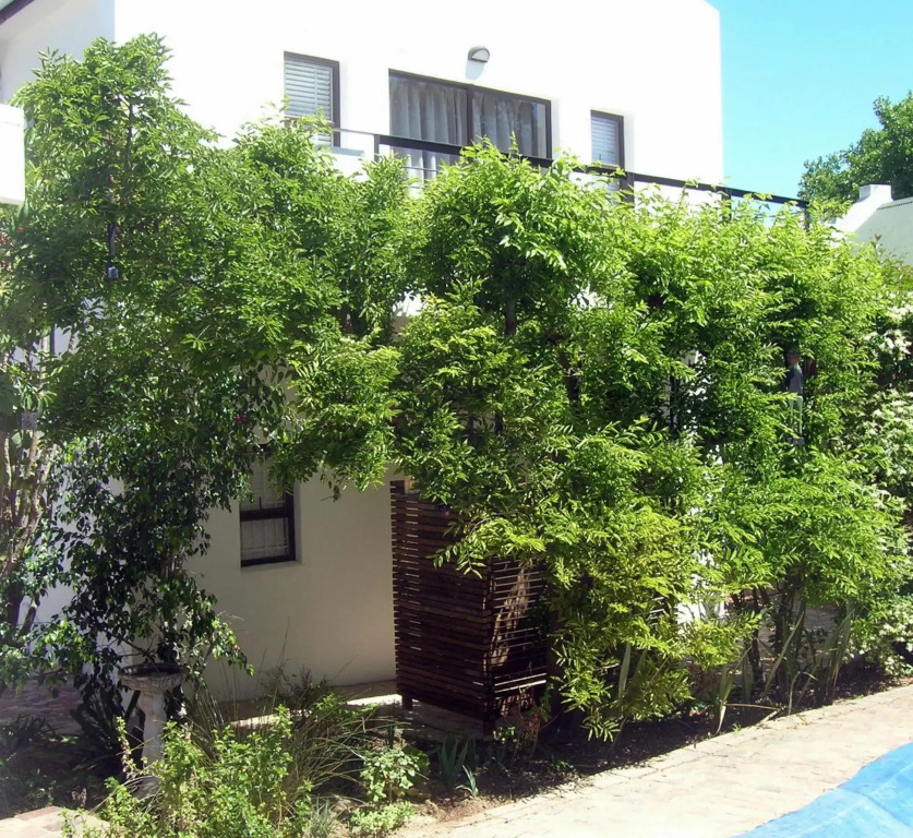 16 Rhodes North Self Catering Apartment & Studio — 4-Star Luxury Hotel in Stellenbosch, South Africa