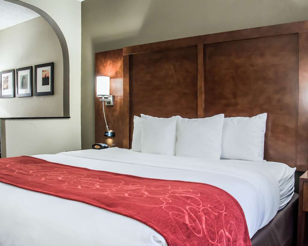 Comfort Suites University Research Park - photo 15