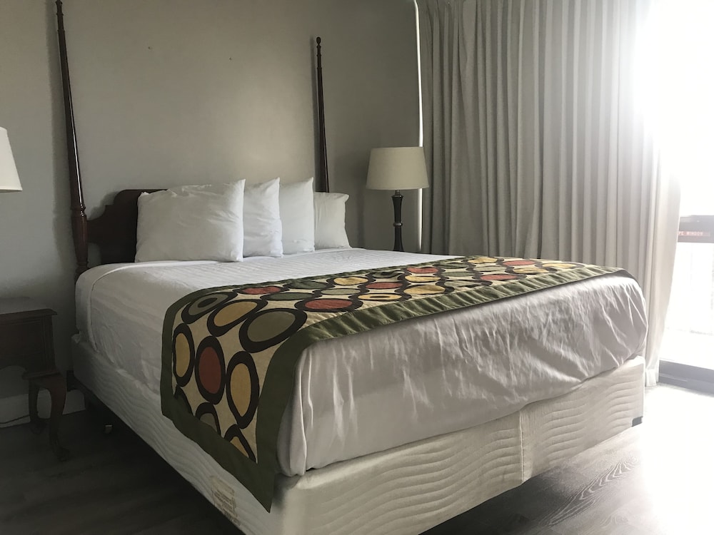 Alamar Resort Inn - photo 11