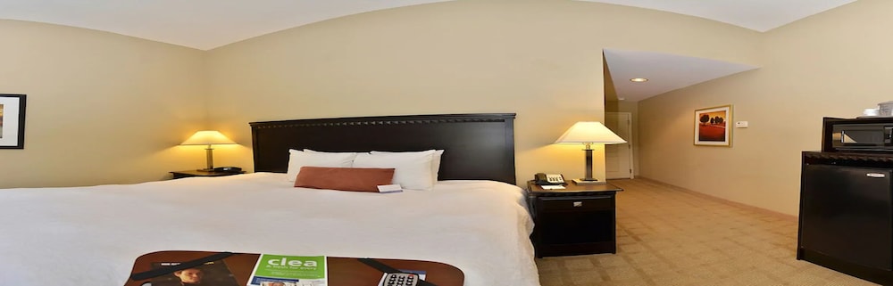 Hampton Inn Dade City Zephyrhills - photo 5