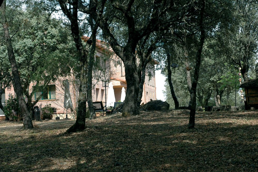 Hotel Rural El Tejarejo — La Iglesuela Del Cid — photo 5