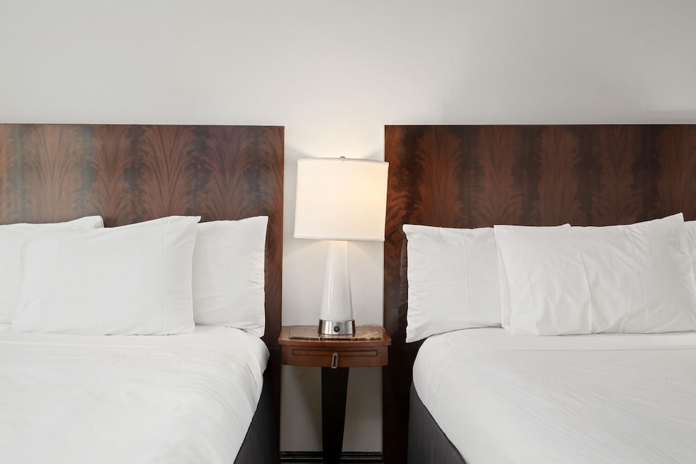 Tilden Hotel - photo 16