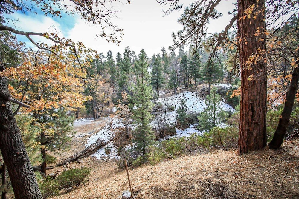 Summit Comfort 1571 by Big Bear Vacations - photo 25